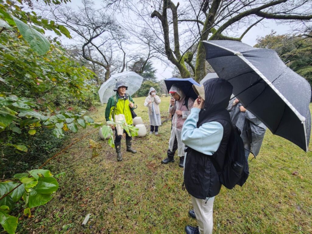 雨の中、傘をさして園路を歩く参加者