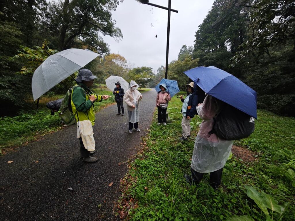 雨の園路を進む観察会の一行