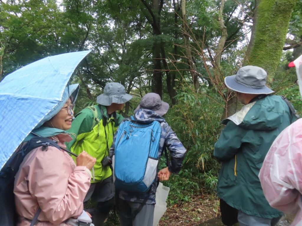 葉の上の生きものを探す参加者