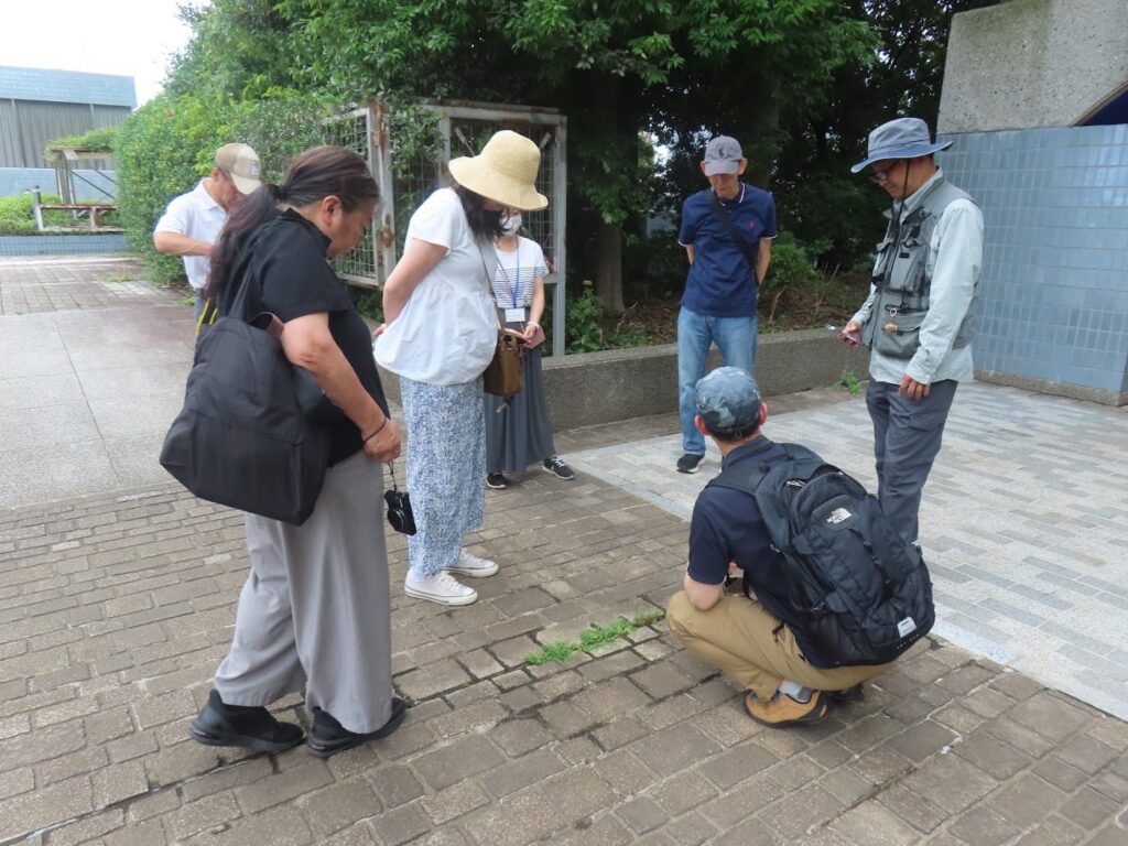 体験入隊で屋外に出て生きものを探す参加者