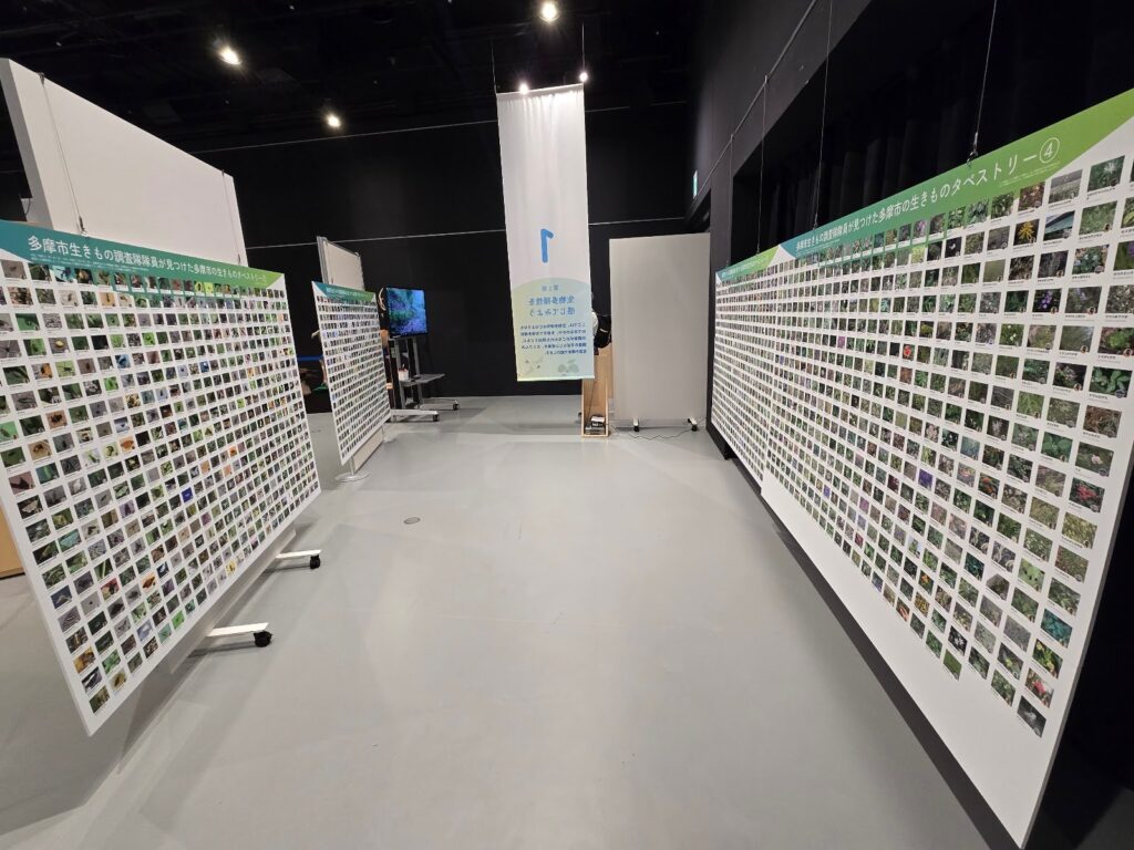 特別展会場に並んだ生きものタペストリー