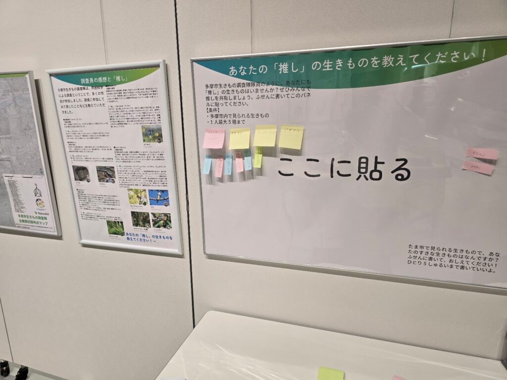 来場者が観察した生きものを貼り出すコーナー