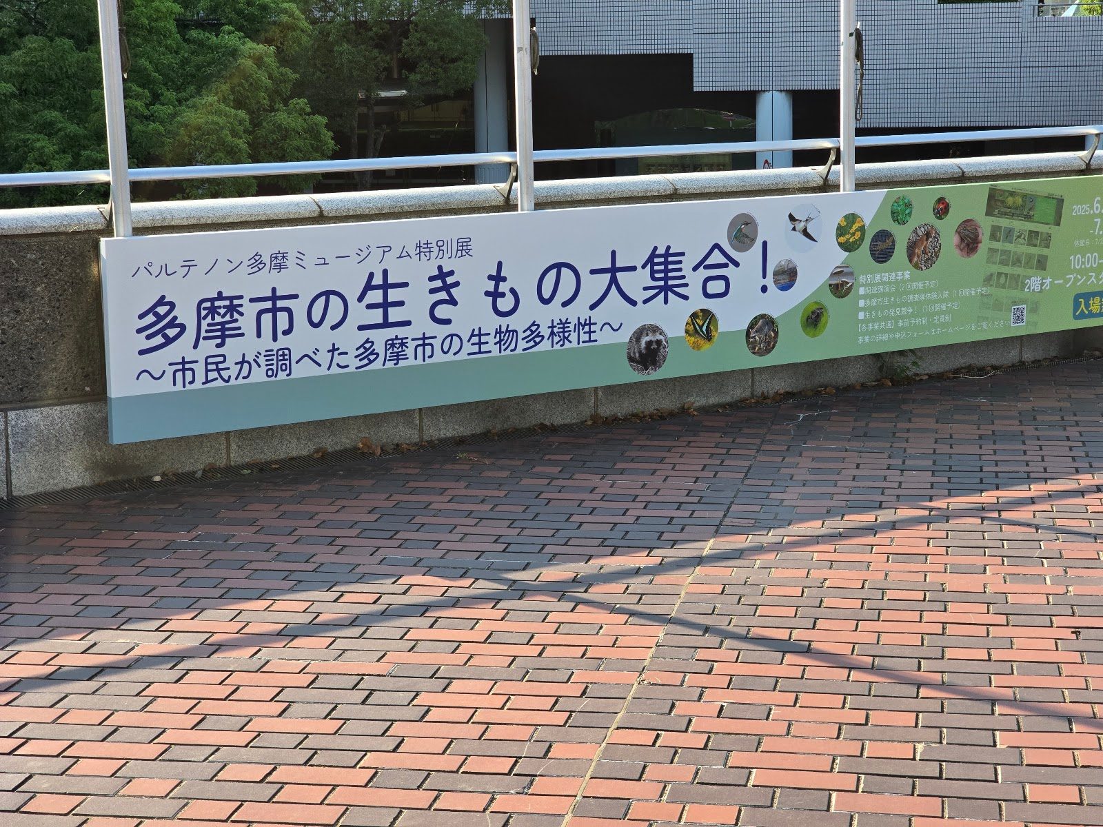 パルテノン多摩 特別展「多摩市の生きもの大集合!」に企画制作協力しました