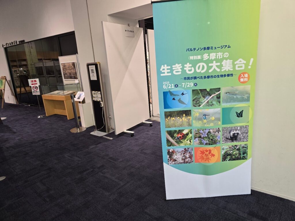 特別展会場入口