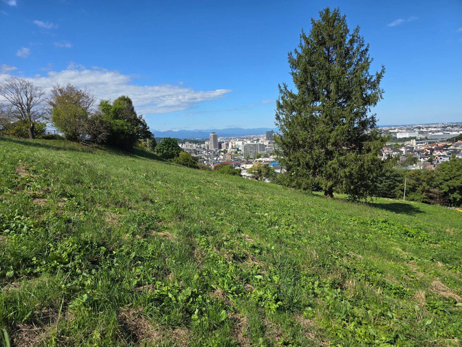 丘の上の草地から見下ろす多摩市の街並みと遠くの山々